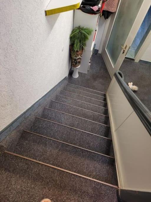 Urlaub Ueber Den Second Hand Laedchen Apartment *
